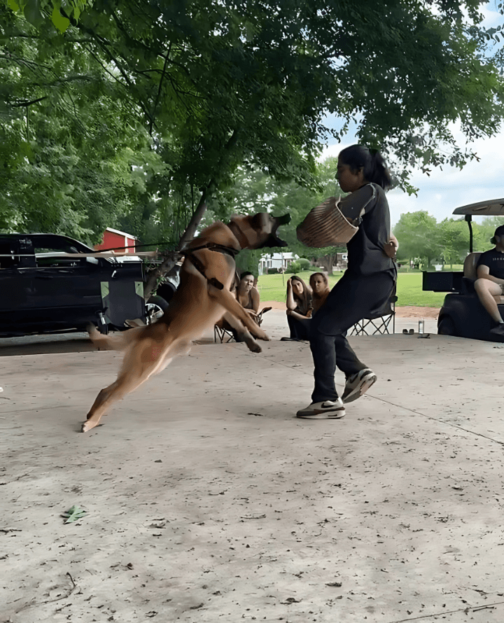Field Training