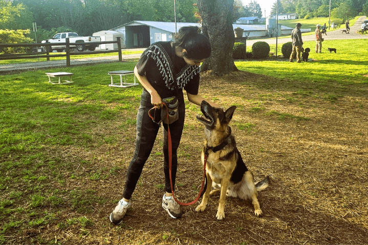 Untitled-design-2024-10-29T052131