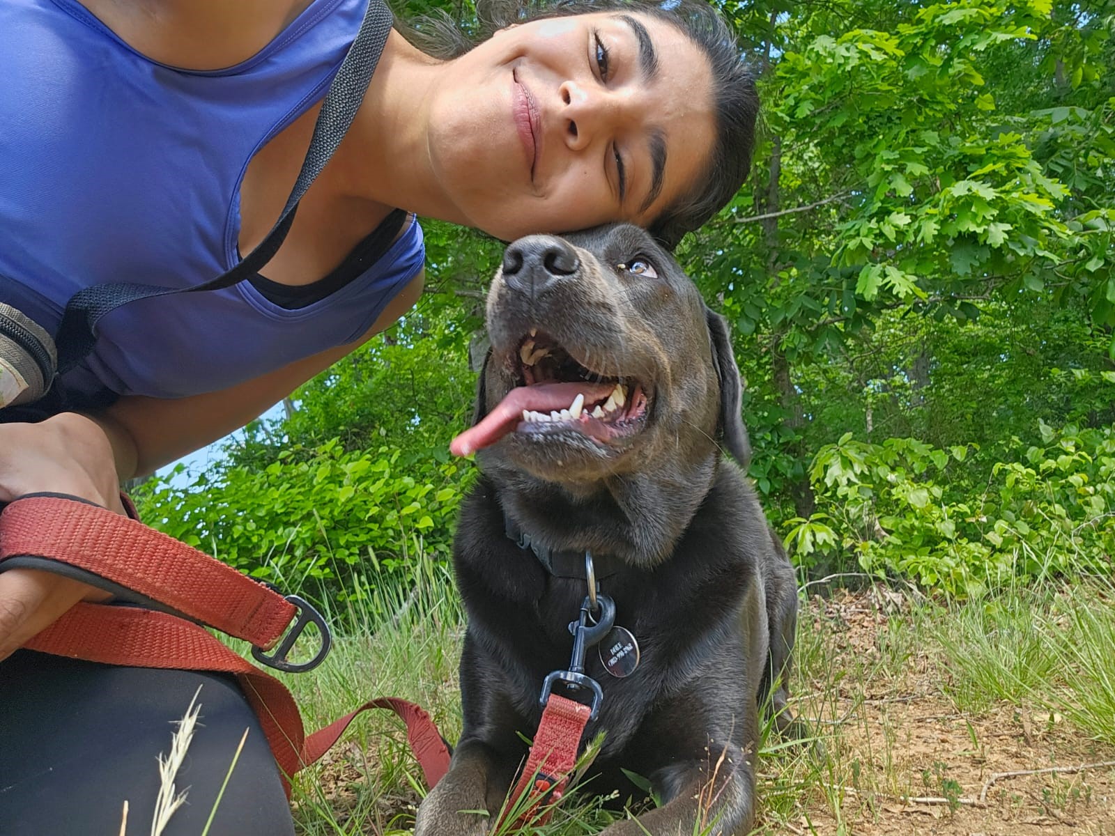 Dog Trainer in Dubai