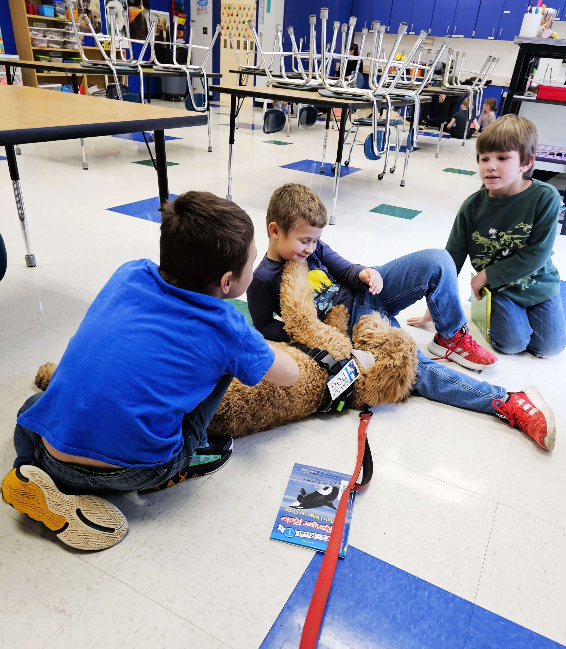 service-dog-homepage-1-scaled