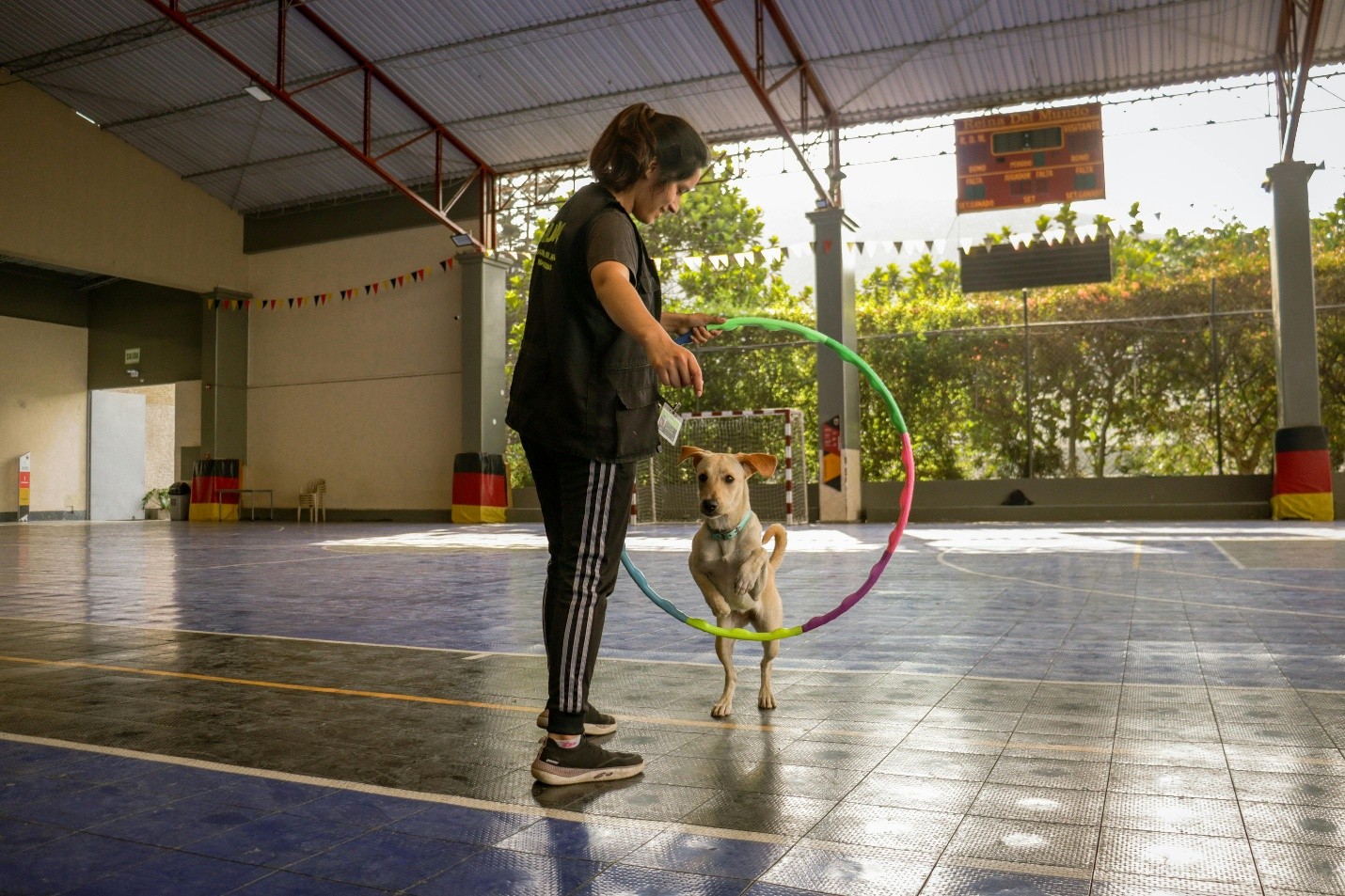Professional Dog Trainers in Dubai