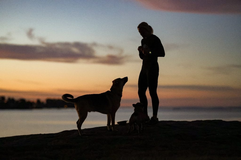 best dog trainer