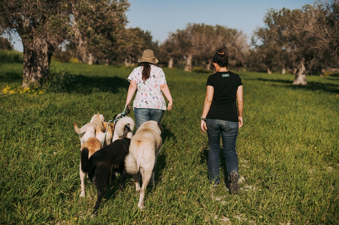best dog trainer