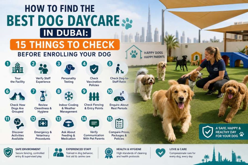 Best dog daycare in Dubai infographic showing 15 things to check before enrolling, including staff experience, temperament testing, vaccination policies, hygiene, safety, cooling, activities, emergency care, communication, and pricing.